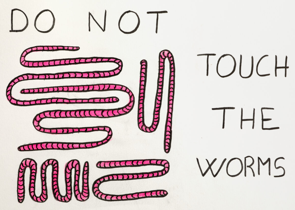 do not touch the worms drawing david shrigley